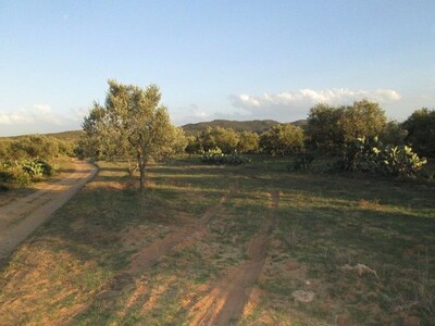 à 10min de Hammamet Terrain 900m