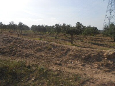 A vendre une ferme de 250 hectares pas loin de hammamet