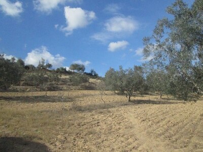 à la campagne de Hammamet 3000m