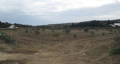 Terrain 6500m agricole à wed lassoued
