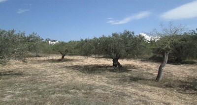 à Faoura Hammamet Terrain 1000m