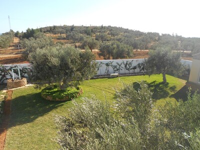 Maison avec terrain planté d’oliviers à la compagne de hammamet