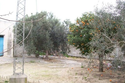 AV maison style traditionnel située dans la compagne de Hammamert