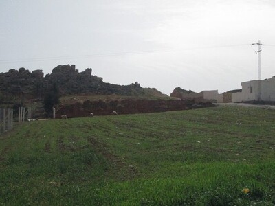 Dans les hauteurs du Hammamet terrain 200m