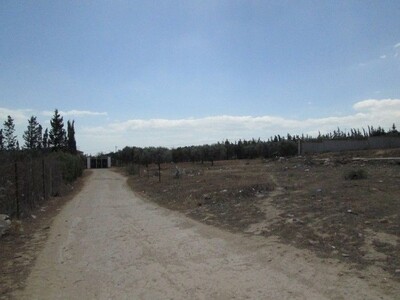 à Sidi hamed hammamet AV terrain 1000m