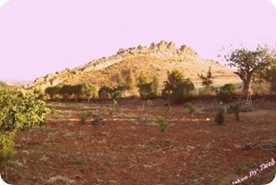 Av un terrain sur la route principale de hammamet