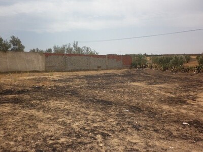 AV sidi Hamed Hammamet Terrain 350m
