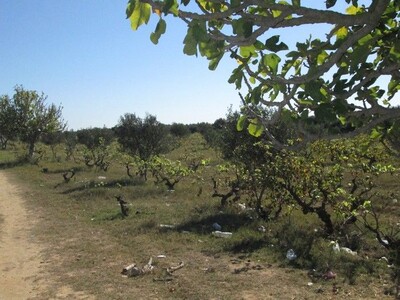 une bonne occasion Terrain 1hectares sur la route G