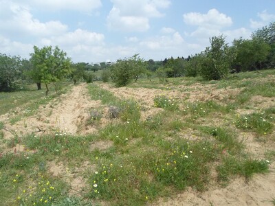 av jinen de superficie 3000 métres à hammamet