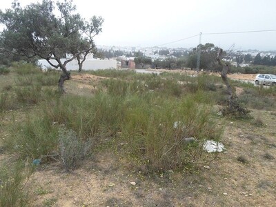 av terrain avec belle vue dégagée sur mer à hammamet