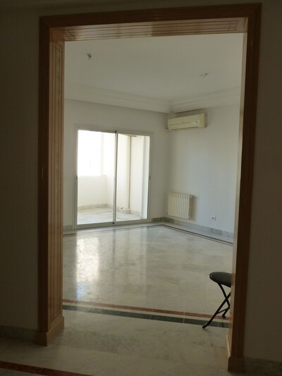 Appartement s+2 au lac