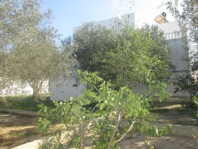 AV à zone Craxi Hammamet une jolie villa