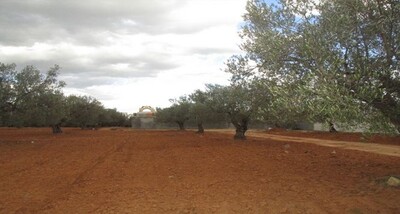 à Hammamet nord ٍَAV Terrain 2300m