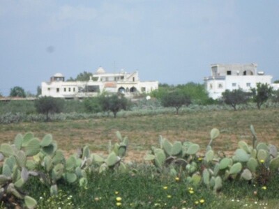 AV terrain jnén compagne de hammamet