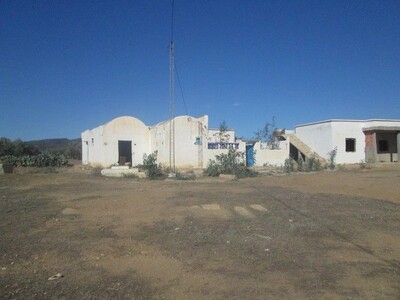 sidi Kristin Hammamet AV field 4hectares and 4000 m