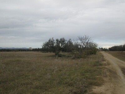 Bouficha AV field 5 hectares and 1380 m