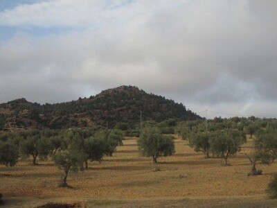 Terrain 60 hectares situé en route de zaghouan