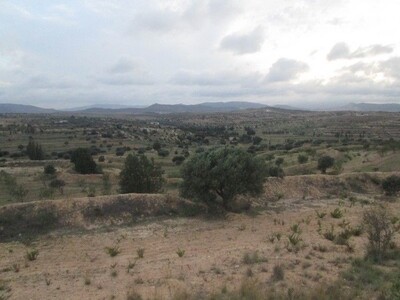 AV terrain agricole de 250 hectares à lenderia