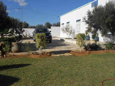 jolie villa avec grand terrain dans la compagne de hammamet