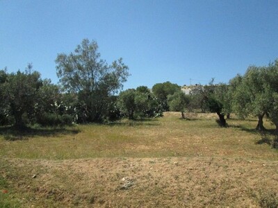 Terrain 1000m a 10min de Hammamet