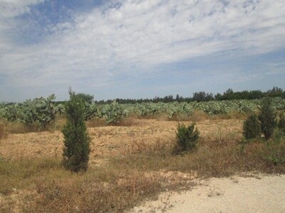 3 hectares à 5min de bouficha Sousse