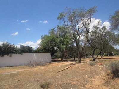 Terrain 880m titre individuel Hammamet Nord