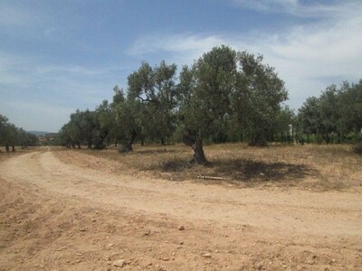 Terrain 1500m à 5min de Hammamet