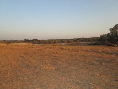 Terrain 1000m à 15min de Hammamet