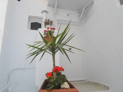 Av appartement d’une seule pièce au plein centre ville hammamet