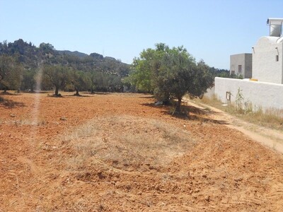 AV un lot de terrain dans la compagne de hammamet