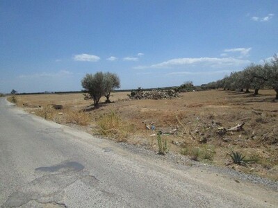 Terrain 1000m dwikhla Hammamet