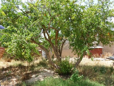 une maison inachevé très proche du centre hammamet