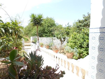 a large house in an area quiet orchards hammamt