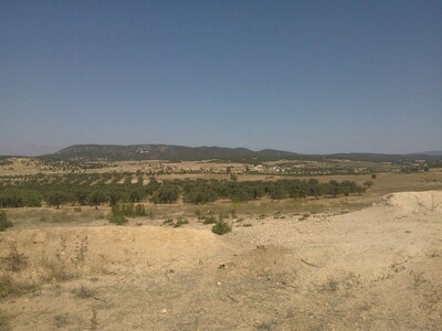 Agricultural land of about forty Hectares