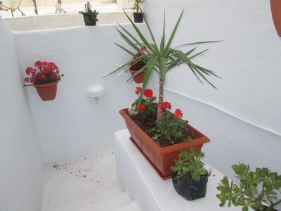 Studio à Hammamet proche de centre ville
