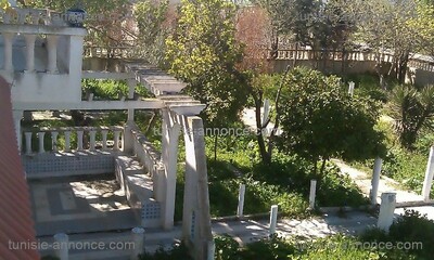 farm a borj ettorki kef