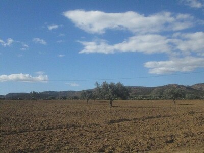 Terrain agricole 2hectare a sidi jdidi Hammamet 20mn de Hammamet