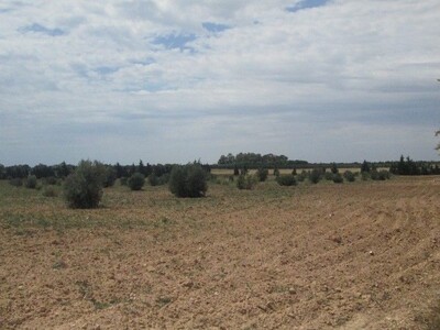 Terrain 3 hectares à 5min de Bouficha Sousse