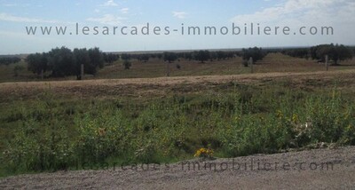 Terrain agricole de 38 hectares à10km de Enfidhasur deux parties
