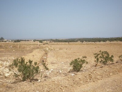Terrain agricole avec vue mer à 25min de Yassmine Hammamet