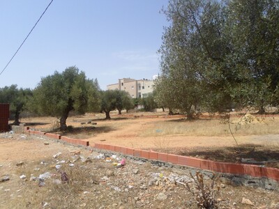 to sell a lot of 500 located in barekt sahel