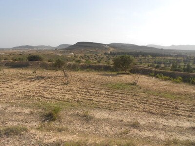 Av une ferme de 250 hectares près de Hammamet