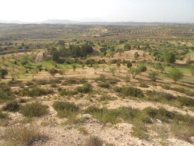 Av une ferme de 250 hectares pas loin de Hammamet