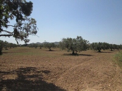 Terrain 5 hectares 5000m sur la route G a ne pas rater