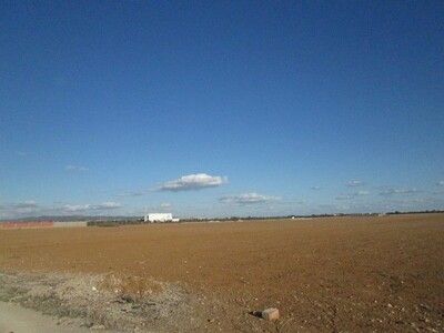 Terrain 2 hectares 6000 à dwikhla