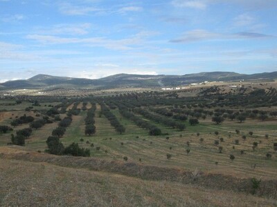 Terrain 5 hectares à Hatous