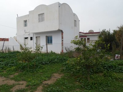 av une senia avec maison à hammamet