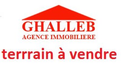 av un grand terrain agricole dans la campagne de hammamet