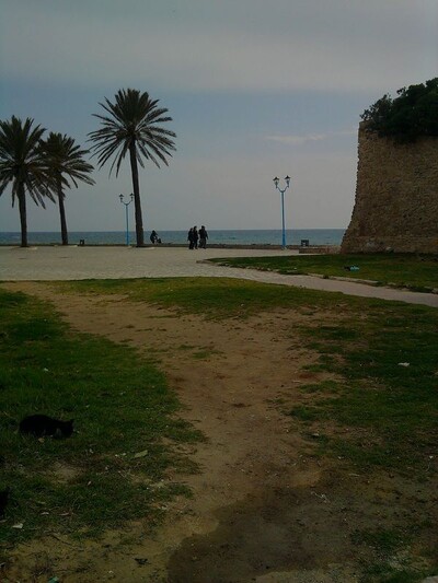 Location  maison dans la medina d'hammamet