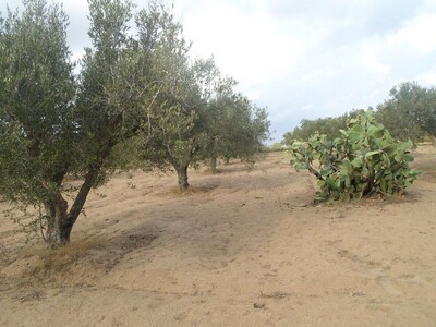 AV 539 m pour construire une villa de compagne